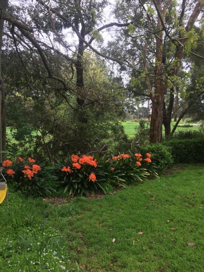 Somerville Sherwood Park Bed And Breakfast المظهر الخارجي الصورة