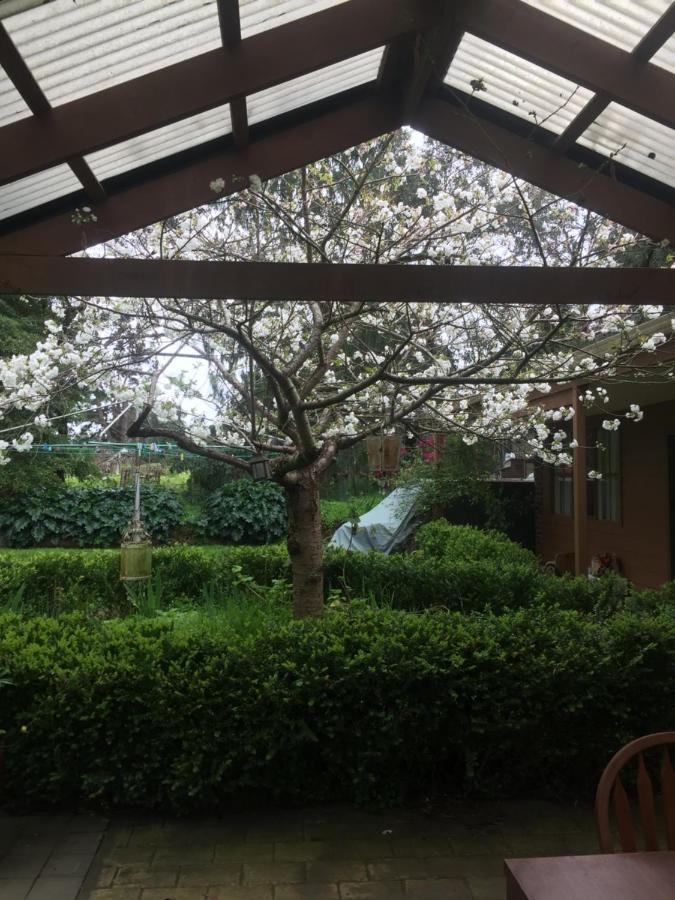 Somerville Sherwood Park Bed And Breakfast المظهر الخارجي الصورة