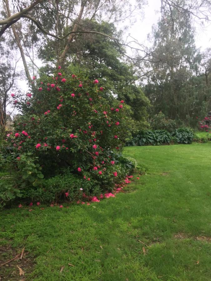 Somerville Sherwood Park Bed And Breakfast المظهر الخارجي الصورة
