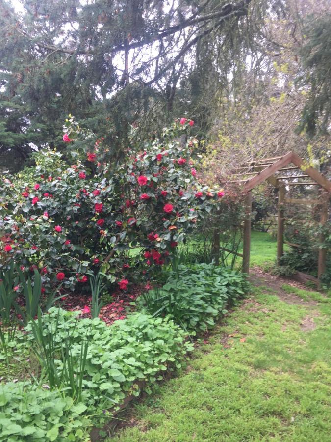 Somerville Sherwood Park Bed And Breakfast المظهر الخارجي الصورة