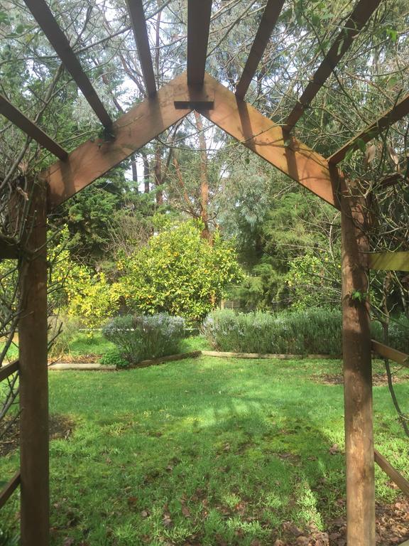 Somerville Sherwood Park Bed And Breakfast المظهر الخارجي الصورة