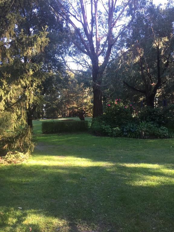 Somerville Sherwood Park Bed And Breakfast المظهر الخارجي الصورة