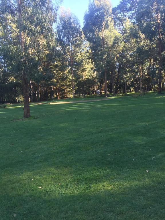 Somerville Sherwood Park Bed And Breakfast المظهر الخارجي الصورة