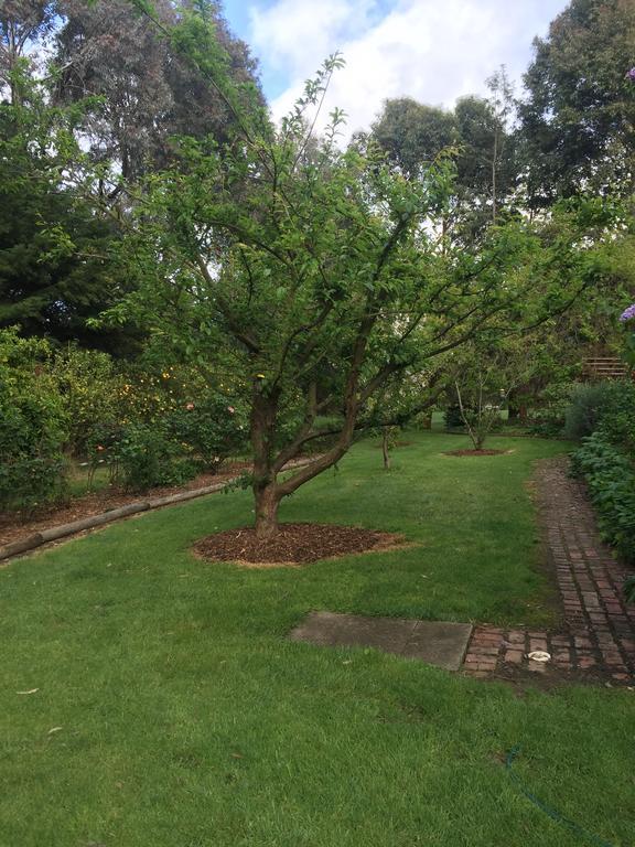 Somerville Sherwood Park Bed And Breakfast المظهر الخارجي الصورة