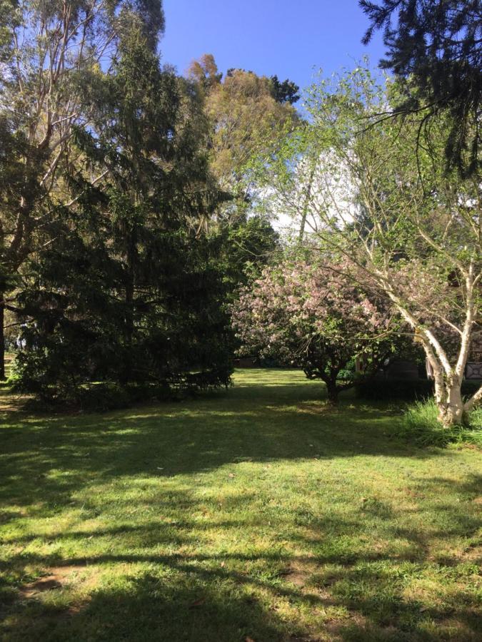 Somerville Sherwood Park Bed And Breakfast المظهر الخارجي الصورة