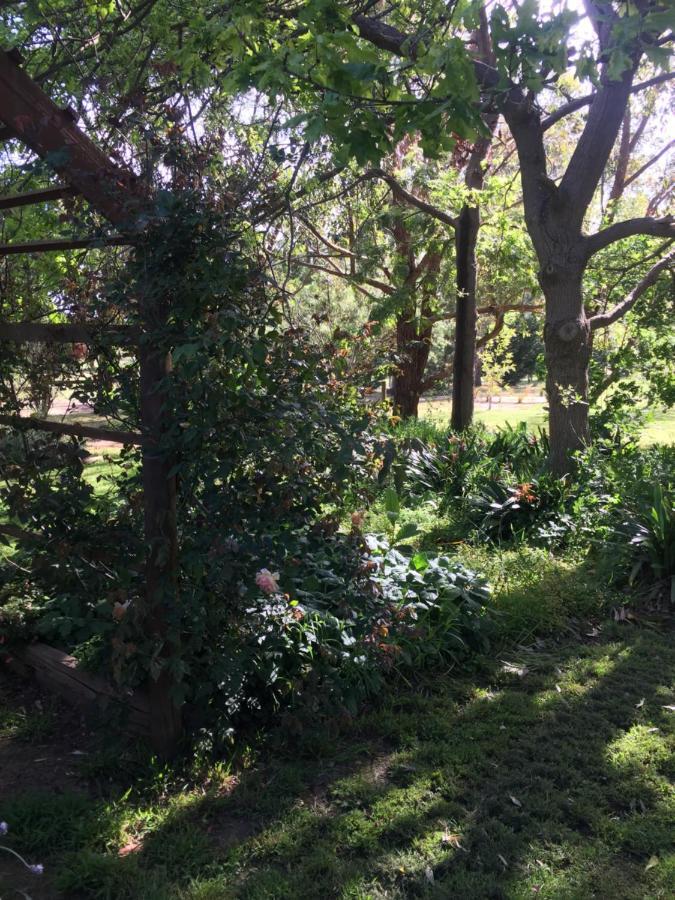 Somerville Sherwood Park Bed And Breakfast المظهر الخارجي الصورة